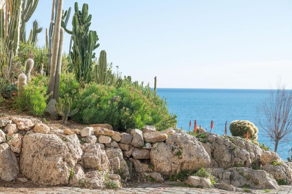 La Pablita, Vieil Antibes, Remparts Lejlighed Eksteriør billede